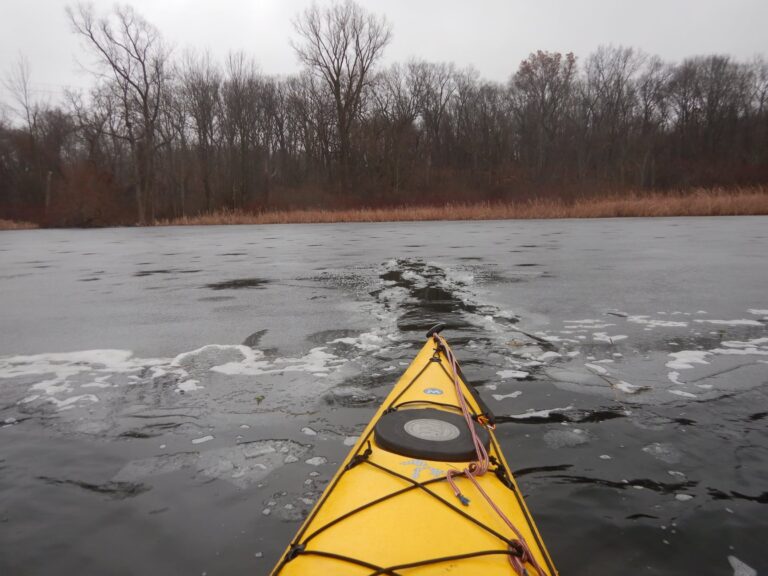 New Years Day Paddle 2022
