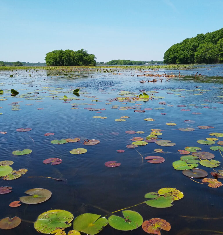 Orchard Lake Paddle – July 26, 2022
